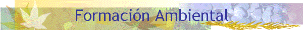 Formaci�n Ambiental