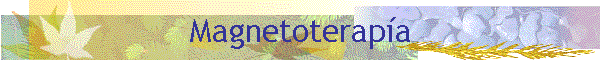 Magnetoterap�a