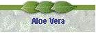 Aloe Vera